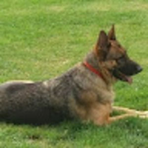 Meet your Posher, Amy jo